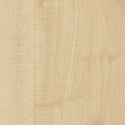 Natural Maple Wood